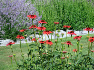 Gartengestaltung mit jahreszeitlicher Bepflanzung 