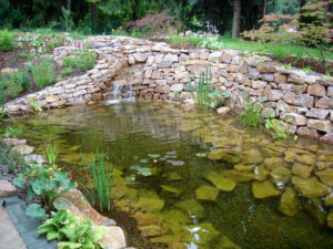 Teichbau Naturteiche