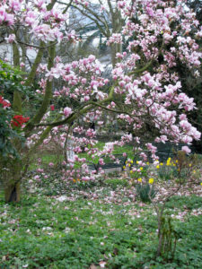 Gartengestaltung mit jahreszeitlicher Bepflanzung