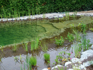 Teichbau Naturteiche