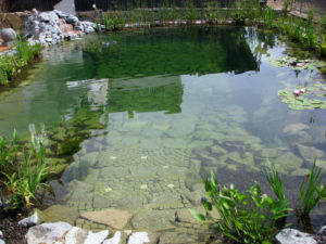 Teichbau Naturteiche