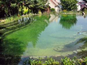 Teichbau Naturteiche