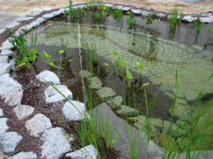 Teichbau Naturteiche