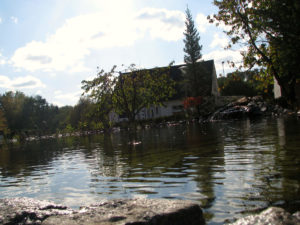 Teichbau Naturteiche