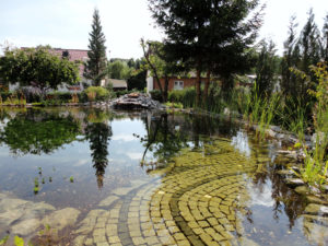 Teichbau Naturteiche