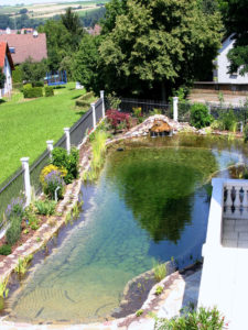 Teichbau für Schwimmteich und Naturteich