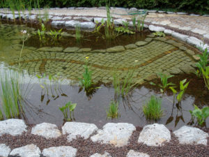 Teichbau Naturteiche