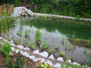 Teichbau Naturteiche
