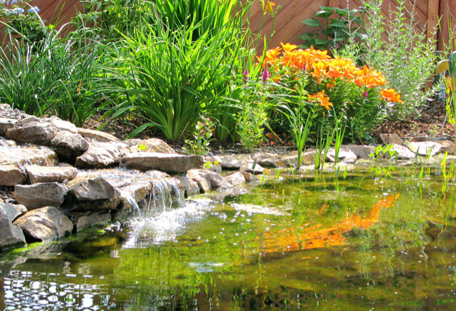 schwimmteiche_anbieter_odenwald Teichbau für Naturteiche und Schwinnteiche