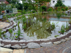 Teichbau Naturteiche