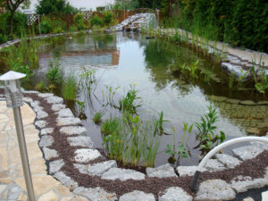 Teichbau Naturteiche