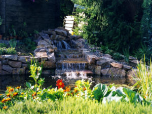 Teichbau Naturteiche