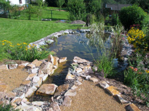 Teichbau Naturteiche