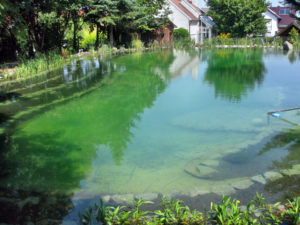 Teichbau Naturteiche