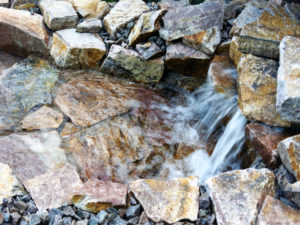 Teichbau Naturteiche