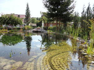 Teichbau Naturteiche