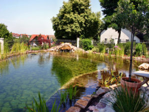 Teichbau Naturteiche